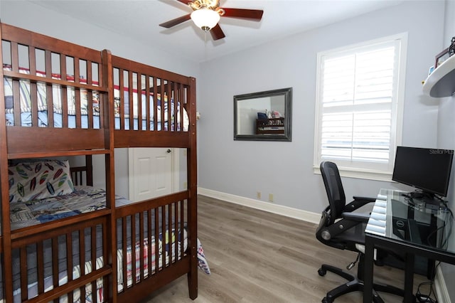 14252 Anastasia Ln, Orlando, FL 32828 - photo 40
