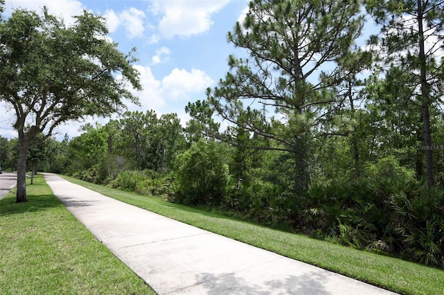 14252 Anastasia Ln, Orlando, FL 32828 - photo 57