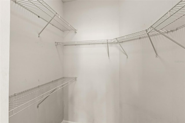 12843 Madison Pointe Unit 208, Orlando, FL 32821 - view of walk in closet