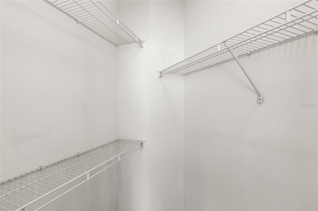 12843 Madison Pointe Unit 208, Orlando, FL 32821 - view of walk in closet
