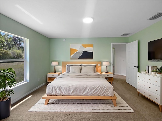 1877 Courtland Blvd, Deltona, FL 32738 - bedroom featuring multiple windows and carpet floors