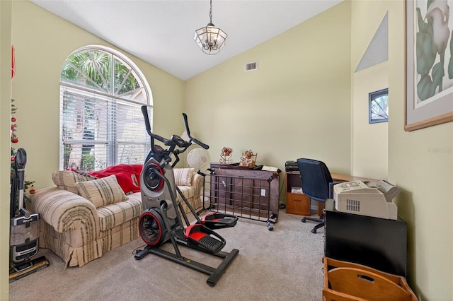 5704 Bay Side Dr, Orlando, FL 32819 - exercise room with lofted ceiling, carpet, and plenty of natural light