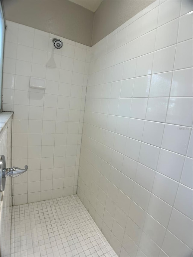 1433 Bluff Loop, Dundee, FL 33838 - full bathroom featuring a tile shower