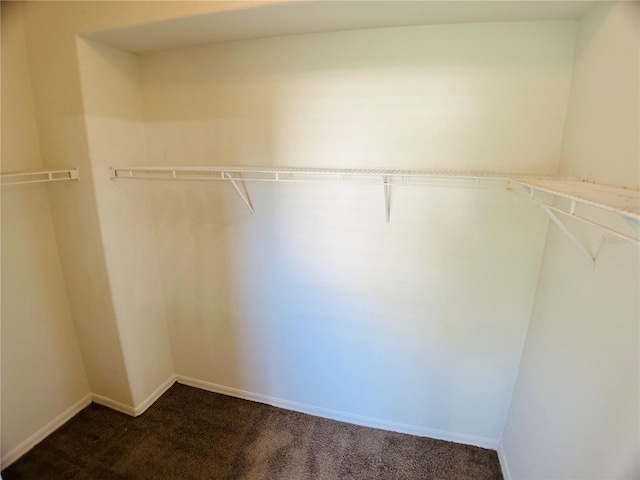 1433 Bluff Loop, Dundee, FL 33838 - walk in closet featuring dark carpet