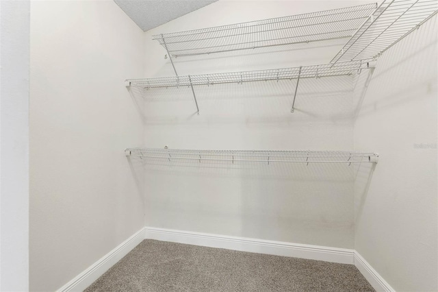 9558 Lupine Ave, Orlando, FL 32824 - walk in closet with carpet floors
