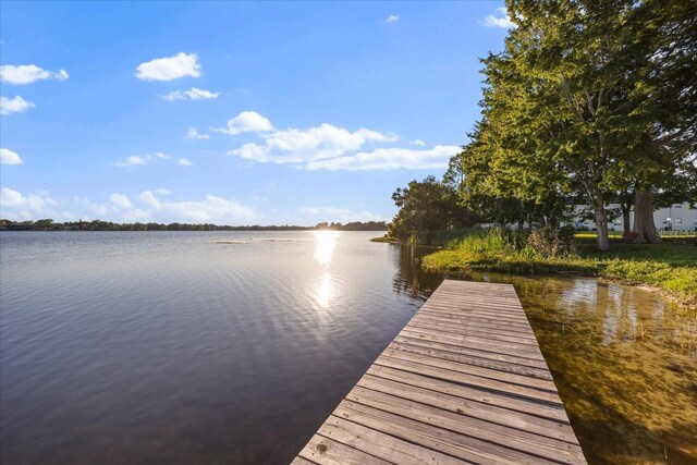 240 Killarney Bay Ct Unit 4, Winter Park, FL 32789 - photo 25