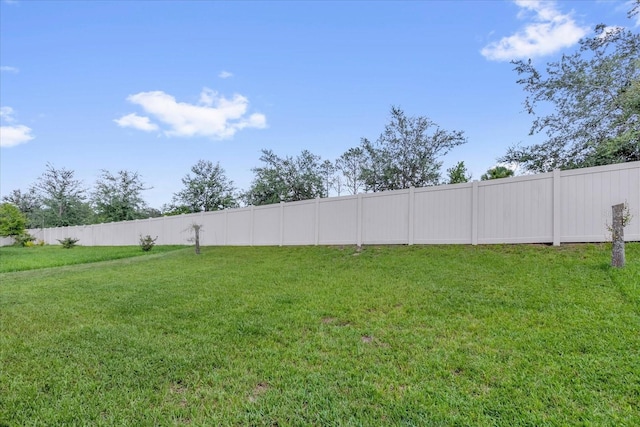 1156 Cavender Creek Rd, Minneola, FL 34715 - view of yard