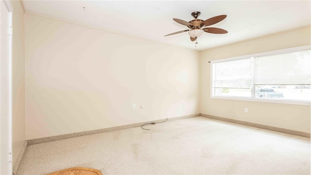 5300 Locksley Ave, Orlando, FL 32810 - photo 15