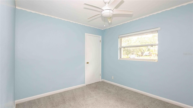 5300 Locksley Ave, Orlando, FL 32810 - photo 21