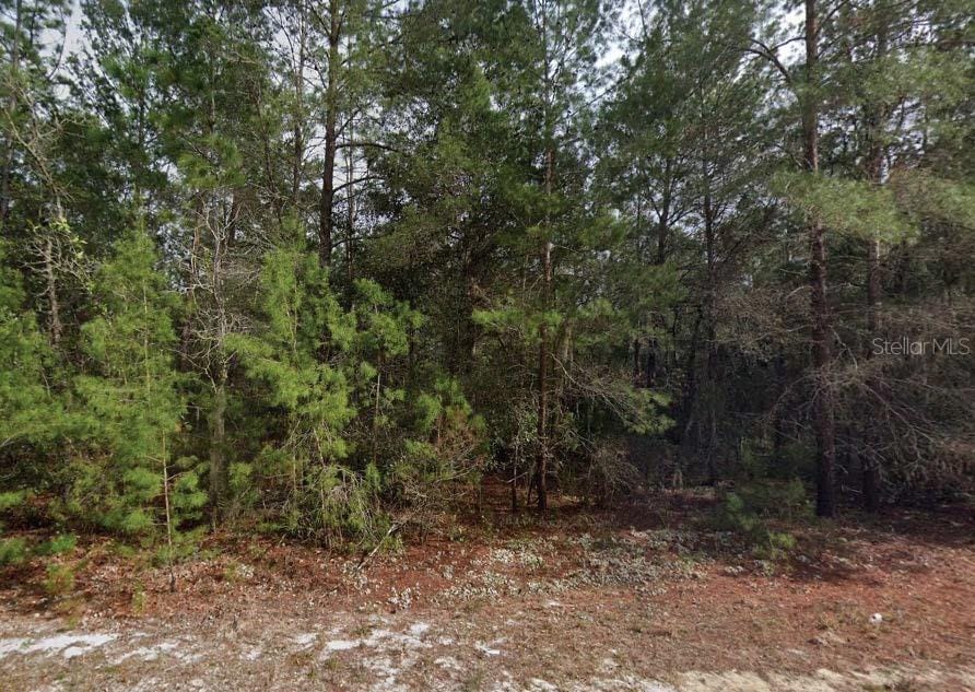 Theresa Ave, Interlachen, FL 32148