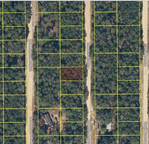 Theresa Ave, Interlachen, FL 32148