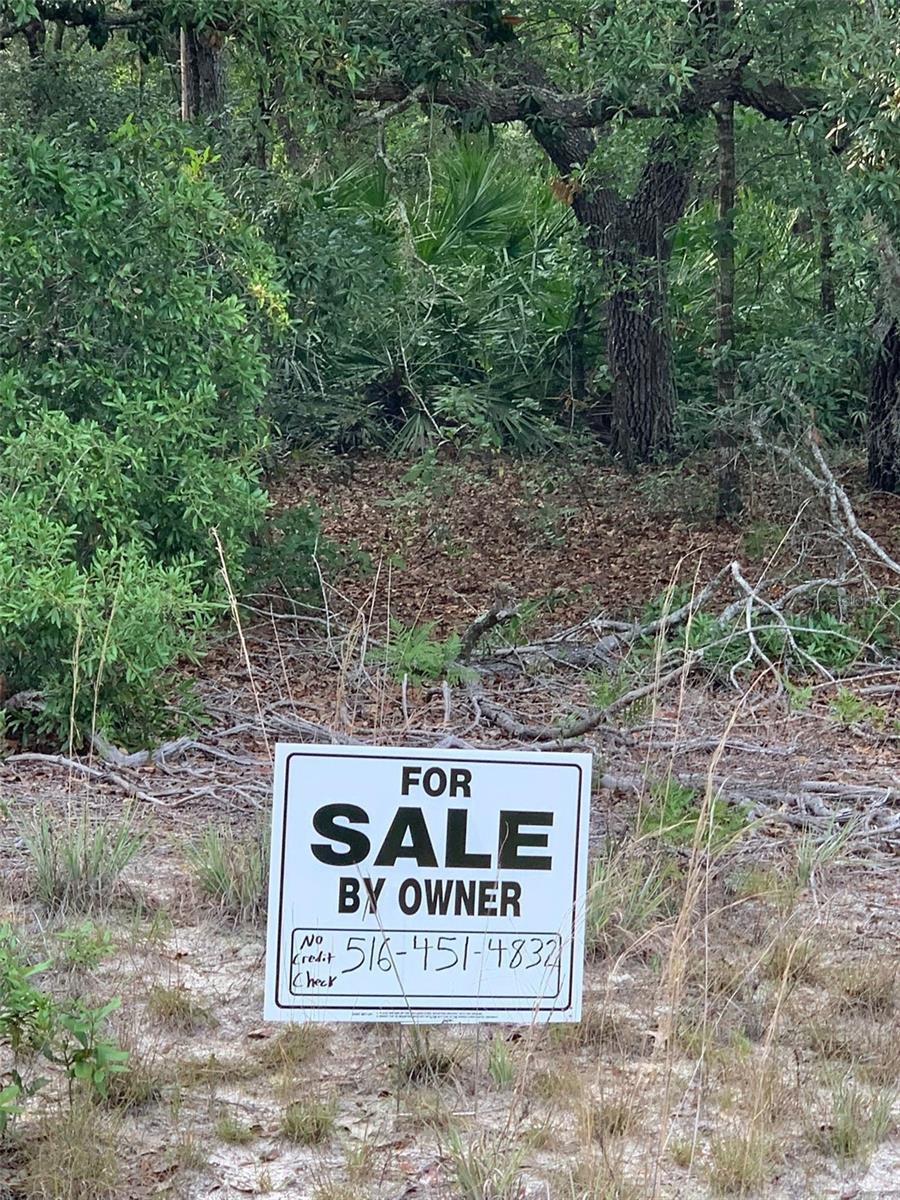 Terrell St, Interlachen, FL 32148