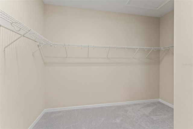 15019 Valverse Aly, Winter Garden, FL 34787 - spacious closet featuring carpet floors and attic access