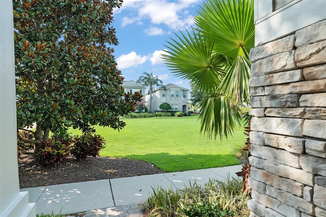 15019 Valverse Aly, Winter Garden, FL 34787 - view of green lawn