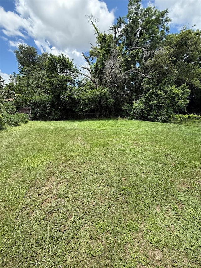 1425 26th St, Orlando, FL 32805 - view of green lawn