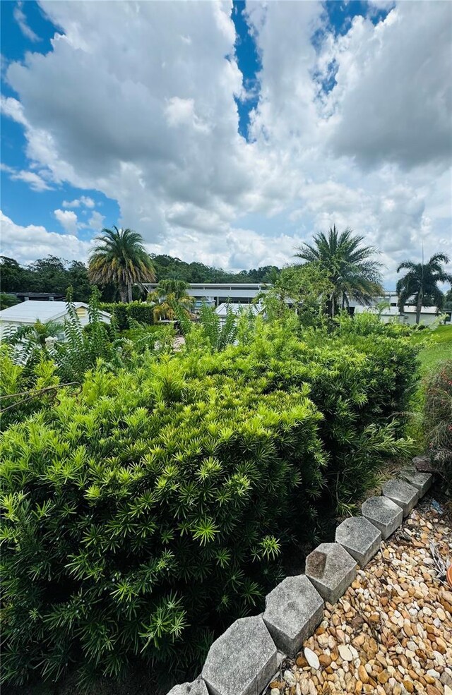 1115 Deer Creek Blvd, Davenport, FL 33837 - view of yard