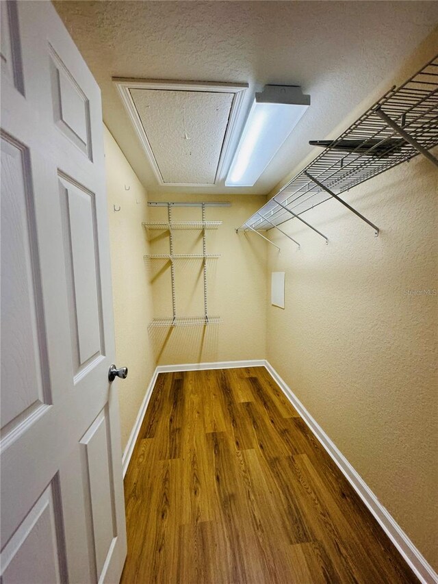 1115 Deer Creek Blvd, Davenport, FL 33837 - spacious closet with attic access and wood finished floors