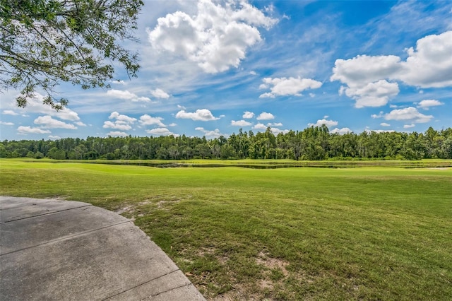 1403 Ventana Dr, Sun City Center, FL 33573 - photo 34