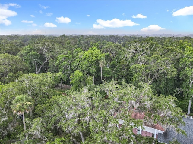 809 Sugar House Blvd, Port Orange, FL 32129 - drone / aerial view of a heavily wooded area