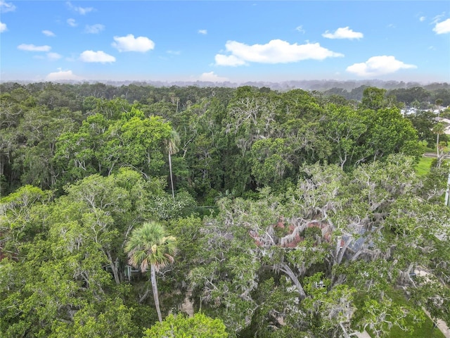 809 Sugar House Blvd, Port Orange, FL 32129 - view of mountain backdrop with a heavily wooded area