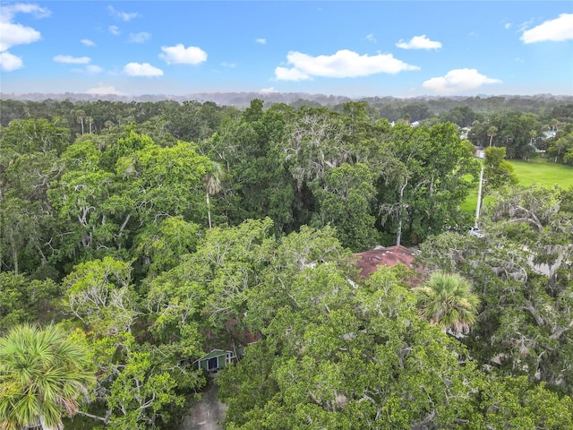 809 Sugar House Blvd, Port Orange, FL 32129 - aerial view of a forest