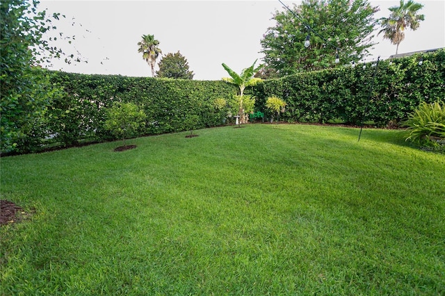 423 Sandringham Ct, Winter Springs, FL 32708 - photo 36