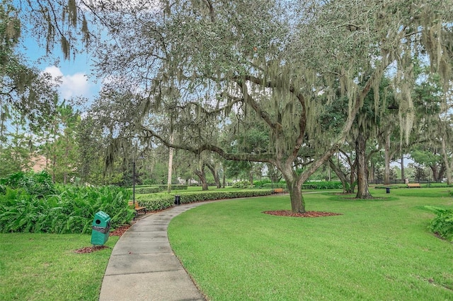 3995 Equine Cv, Lake Mary, FL 32746 - photo 77