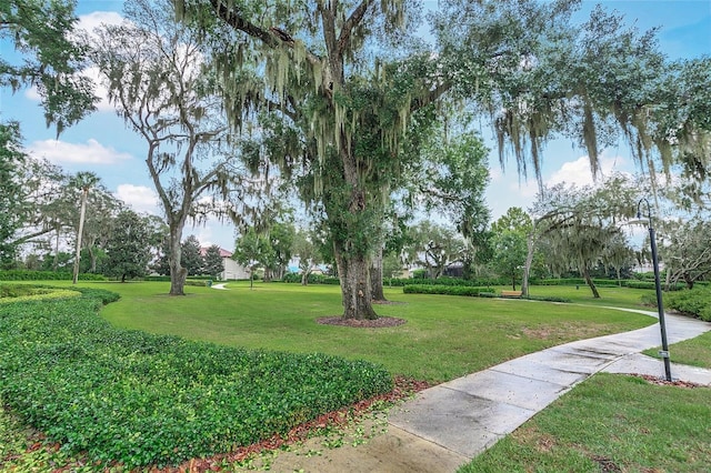 3995 Equine Cv, Lake Mary, FL 32746 - photo 78