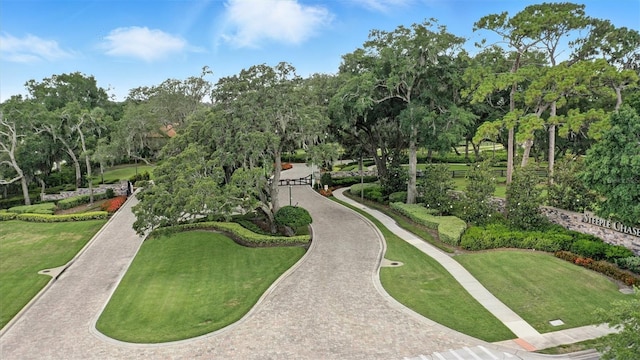 3995 Equine Cv, Lake Mary, FL 32746 - photo 81