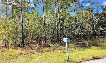 Silver Springs Shrs, Ocala, FL 34472 - photo 2