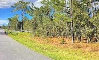 Silver Springs Shrs, Ocala, FL 34472 - photo 3