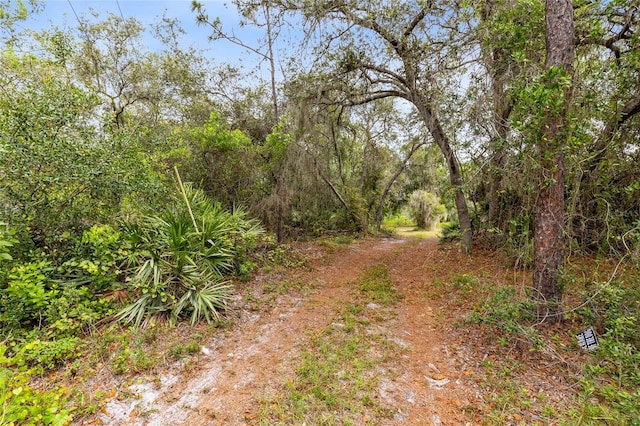 538 Murray St, Osteen, FL 32764 - photo 39