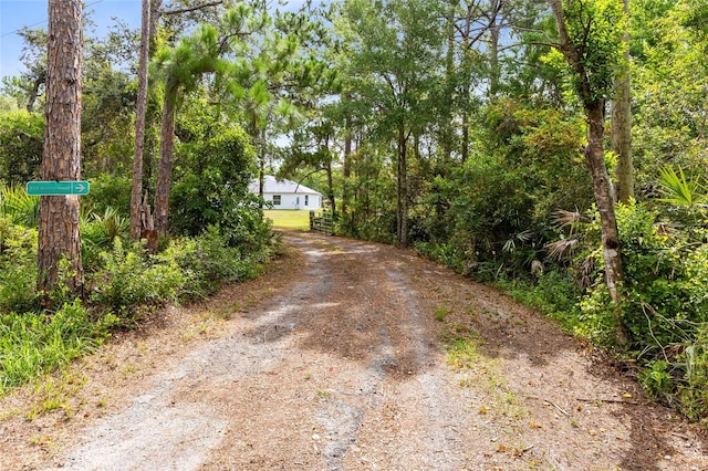538 Murray St, Osteen, FL 32764 - photo 41