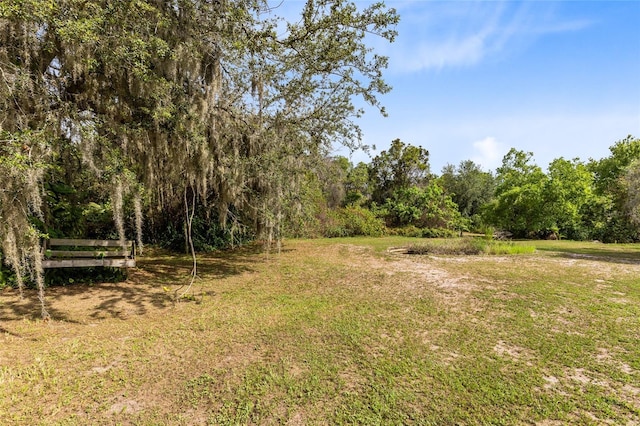 538 Murray St, Osteen, FL 32764 - photo 48