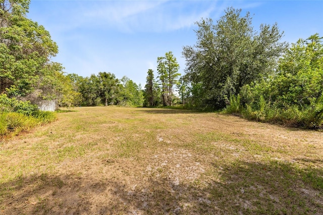 538 Murray St, Osteen, FL 32764 - photo 53