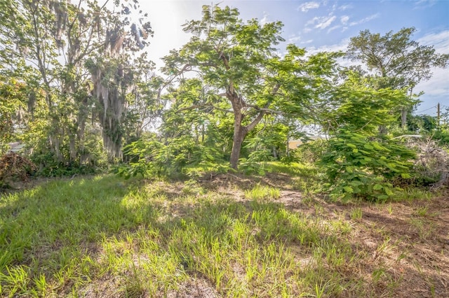 5527 Sandalwood Dr, Orlando, FL 32839 - photo 30
