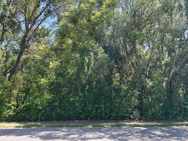 King Ave, Zellwood, FL 32798 - photo 1