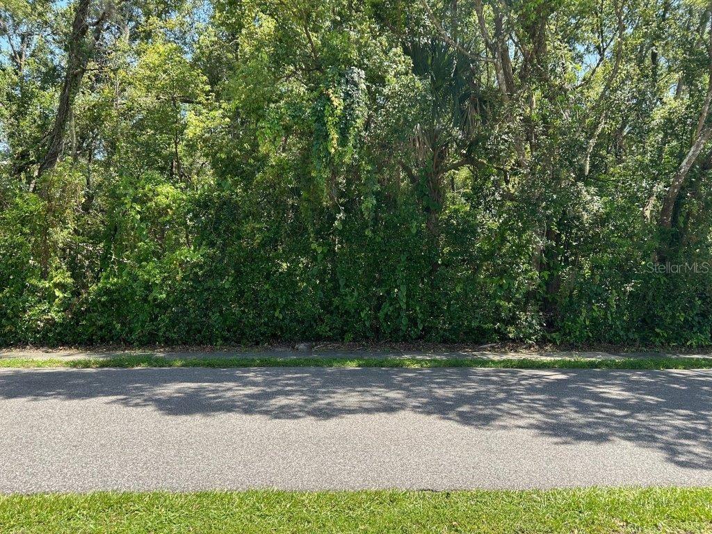 King Ave, Zellwood, FL 32798 - photo 2