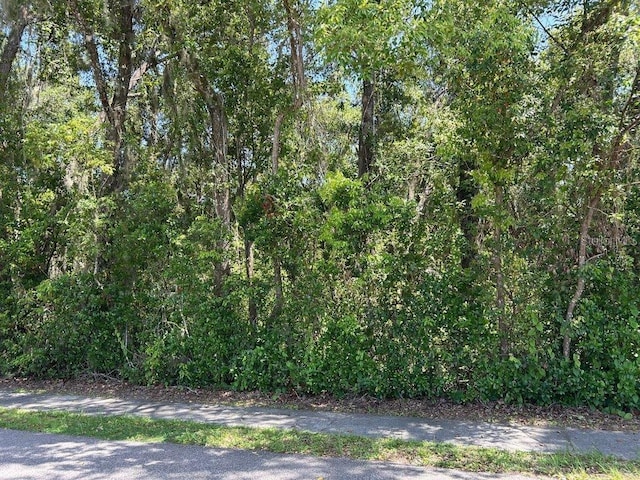 King Ave, Zellwood, FL 32798 - photo 3