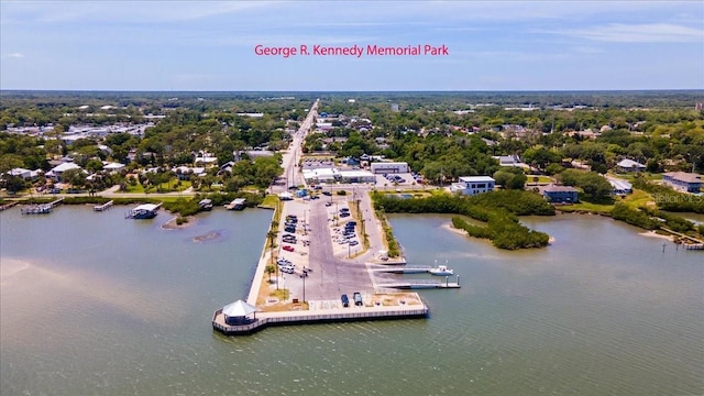 2356 Date Palm Dr, Edgewater, FL 32141 - drone / aerial view of a large body of water