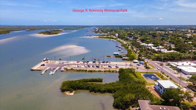 2356 Date Palm Dr, Edgewater, FL 32141 - aerial view of a nearby body of water