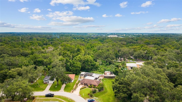 316 Amanda Ln, Leesburg, FL 34748 - photo 64