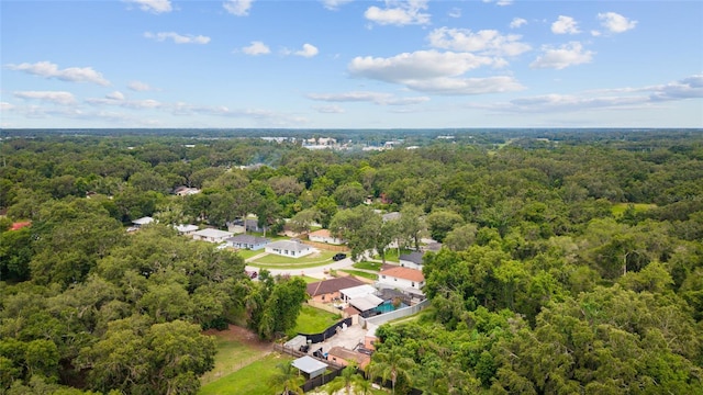 316 Amanda Ln, Leesburg, FL 34748 - photo 65