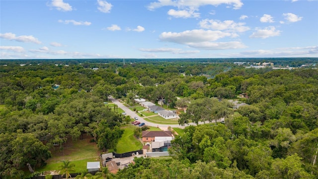 316 Amanda Ln, Leesburg, FL 34748 - photo 67