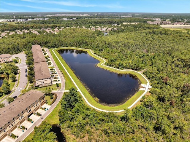 9997 Town Lake Dr, Orlando, FL 32832 - photo 77