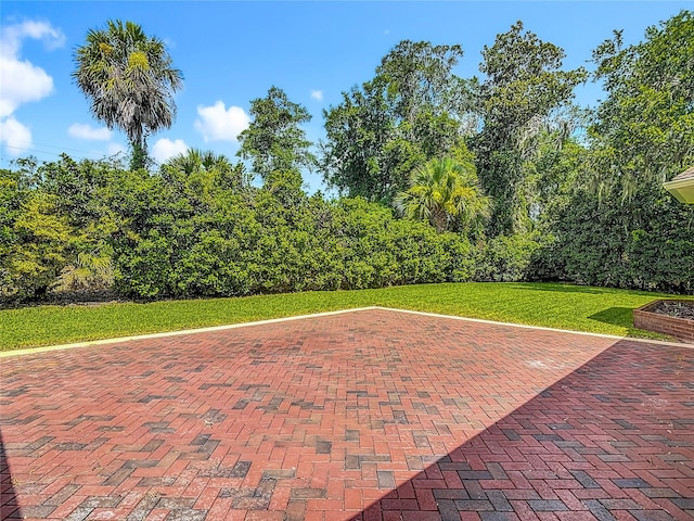 8 Ivey Ln, Flagler Beach, FL 32136 - photo 40