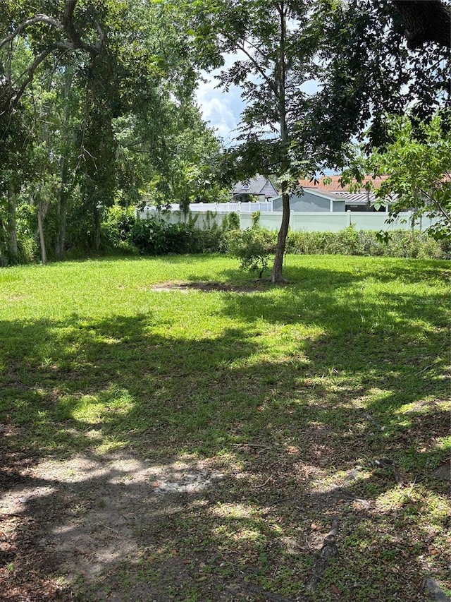 4035 Nimons St, Orlando, FL 32811 - view of green lawn