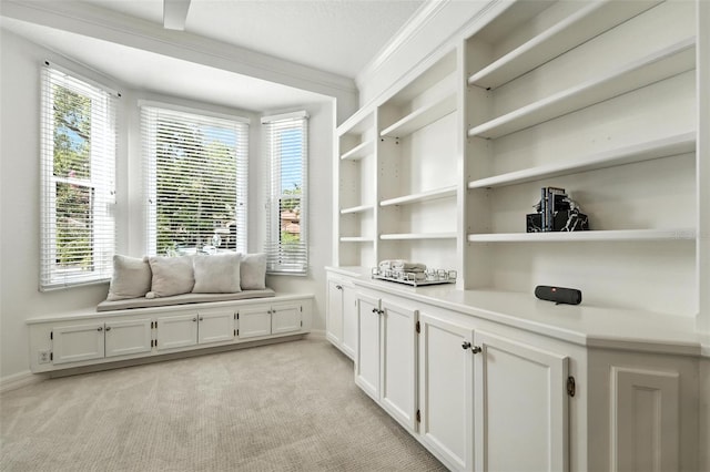 1769 Turnberry Ter, Orlando, FL 32804 - living area with light colored carpet and healthy amount of natural light