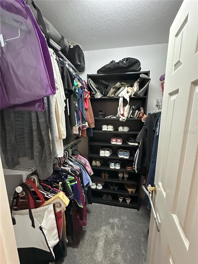1140 Odoniel Loop S, Lakeland, FL 33809 - spacious closet with carpet floors