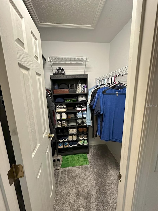 1140 Odoniel Loop S, Lakeland, FL 33809 - walk in closet featuring carpet floors